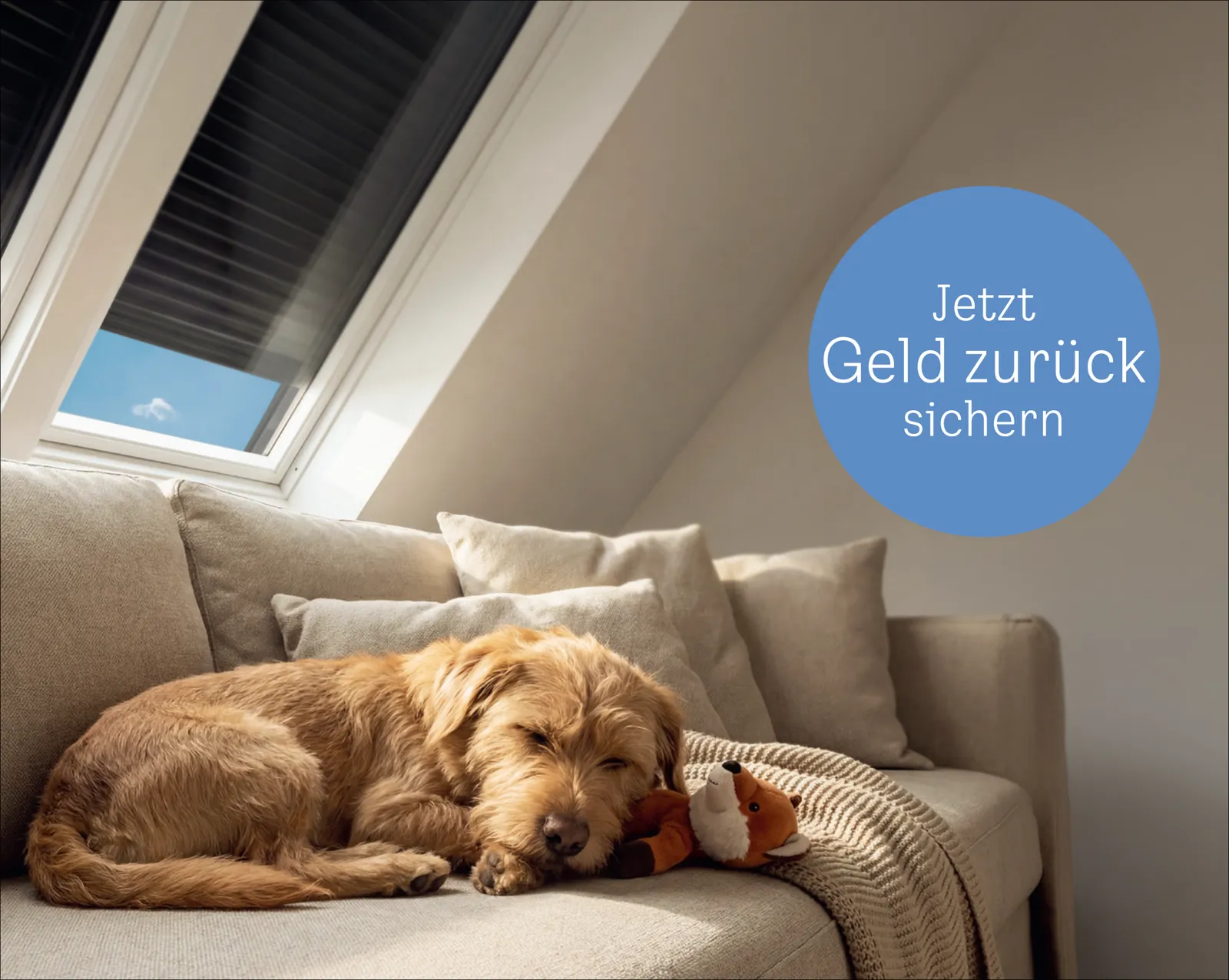 Hund schlummert sonnenbeschienen auf dem Sofa unter einem VELUX Dachfenster mit geöffnetem Rollladen